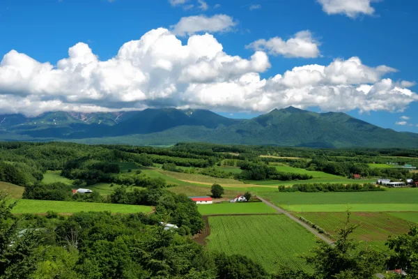 田舎暮らしの移住支援で仕事探しする方法は？わかりやすく解説！